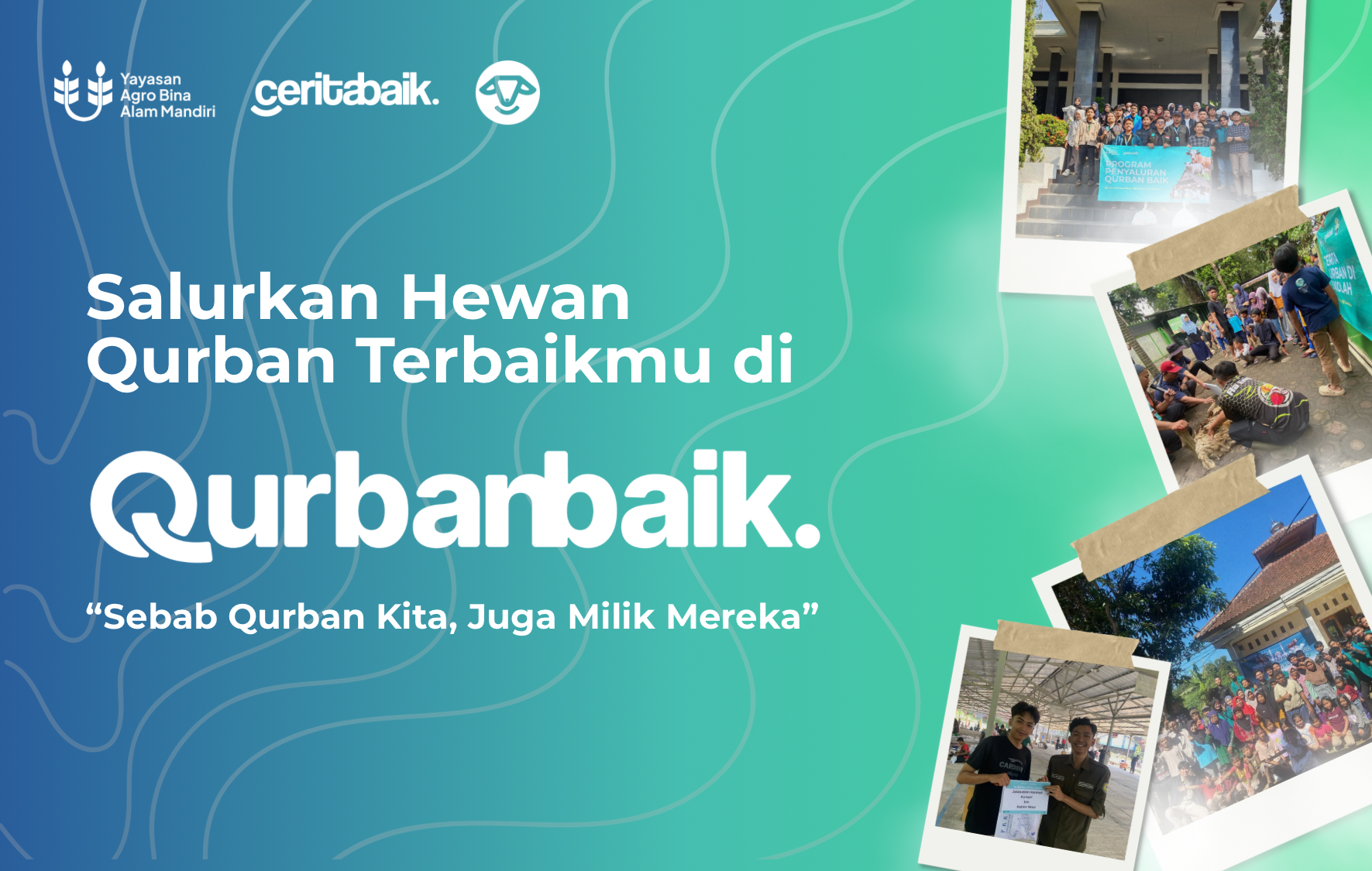 Penyaluran Hewan Qurban